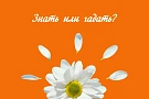 Аттестат налогового консультанта (7 уровень) – онлайн-презентация программы